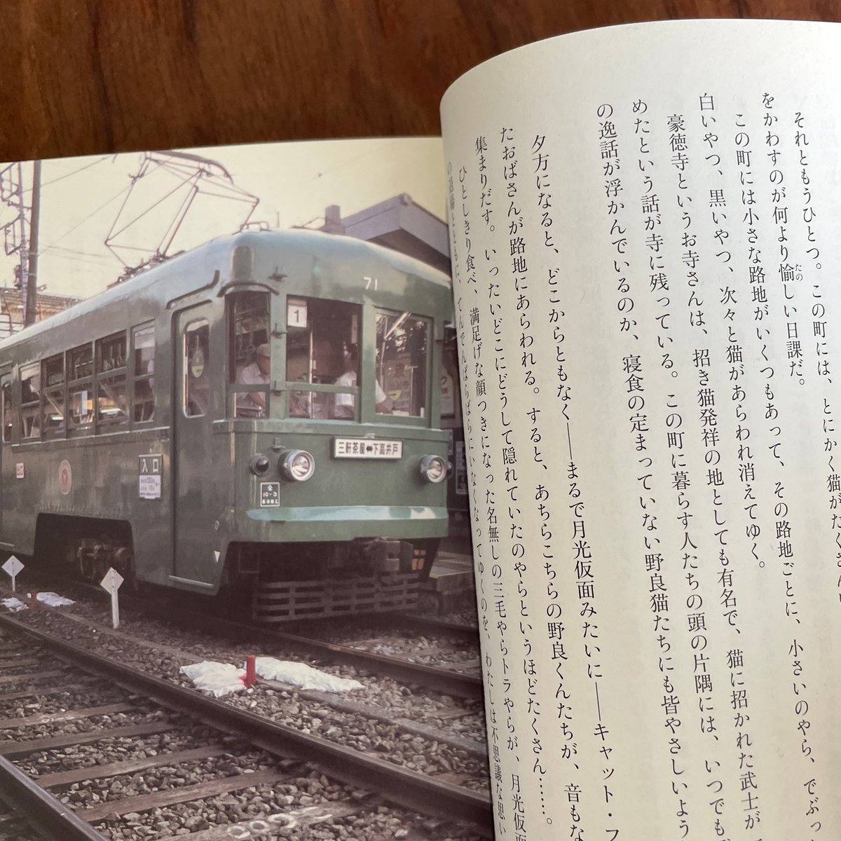古本】夜に猫が身をひそめるところ | 古本と新刊 scene