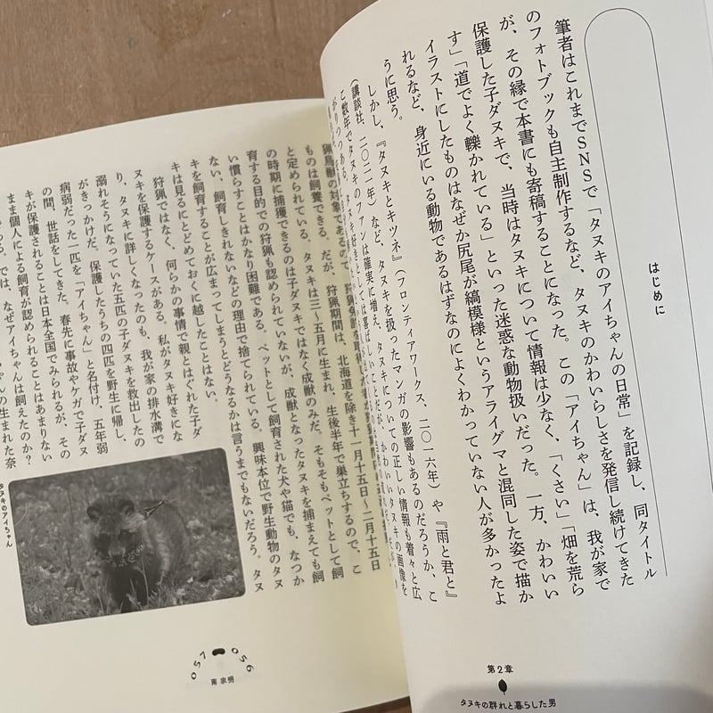 たぬきの本 里山から街角まで | 古本と新刊 scene