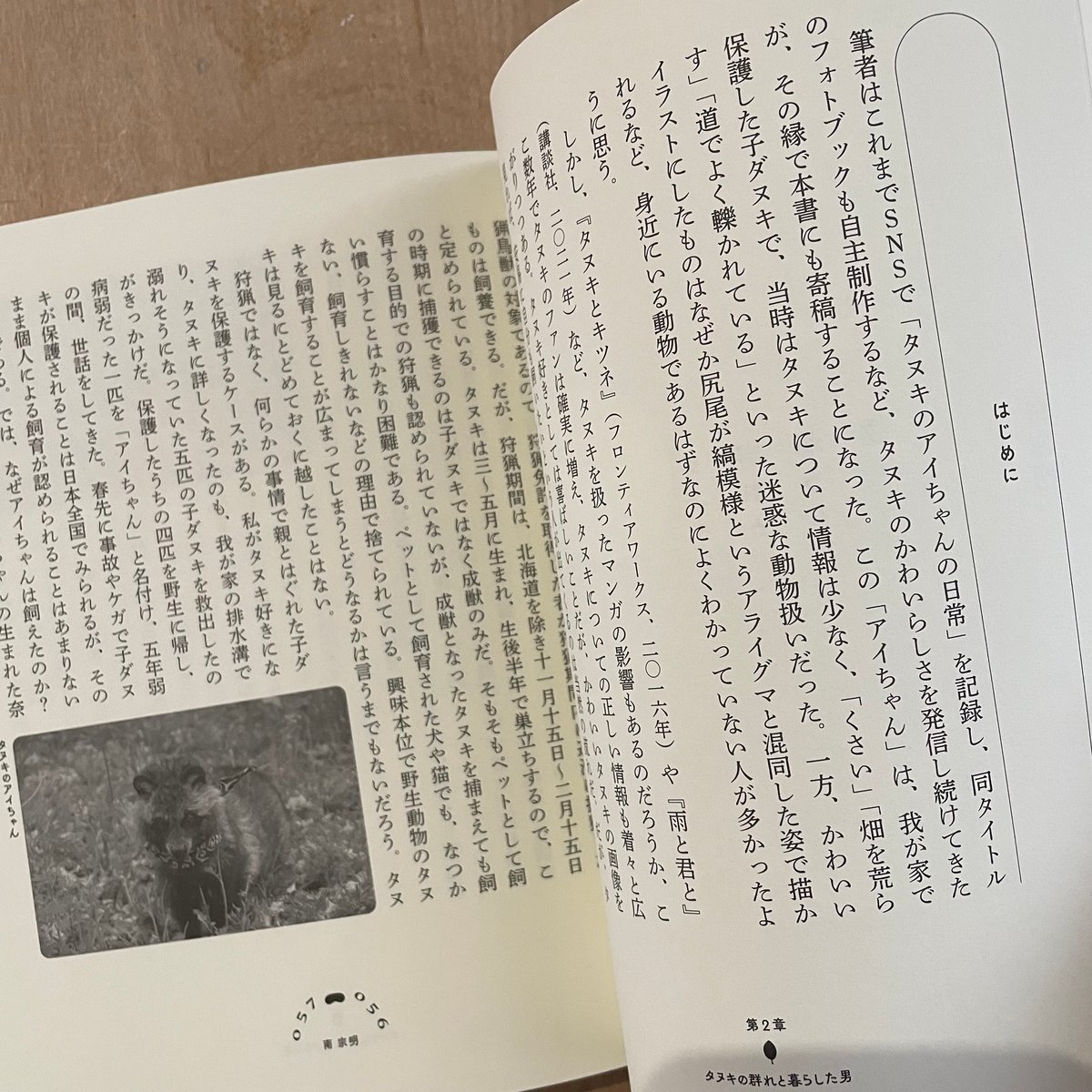 たぬきの本 里山から街角まで | 古本と新刊 scene