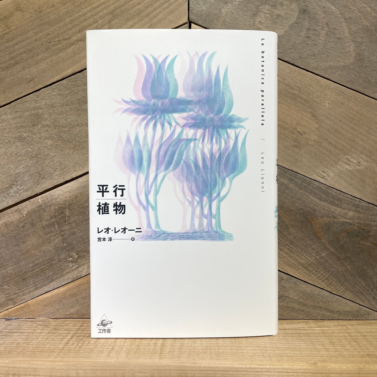 平行植物 | 古本と新刊 scene