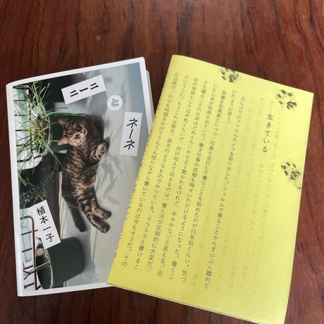 ニーニとネーネ vol.１