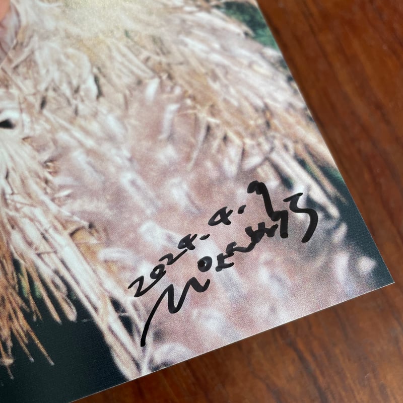 パルム書房のヤシ総合誌 シュロ3 ※ぴょんぬりらさん直筆サイン入り