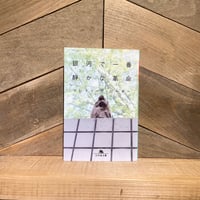 銀河で一番静かな革命