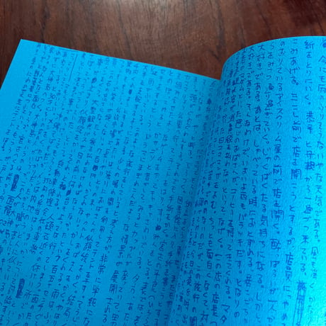 このようなやり方で300年の人生を生きていく　あたいの沖縄旅日記 （新版）
