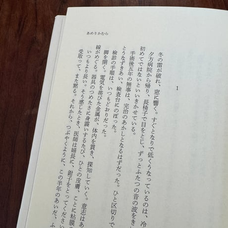 【古本】あめりかむら