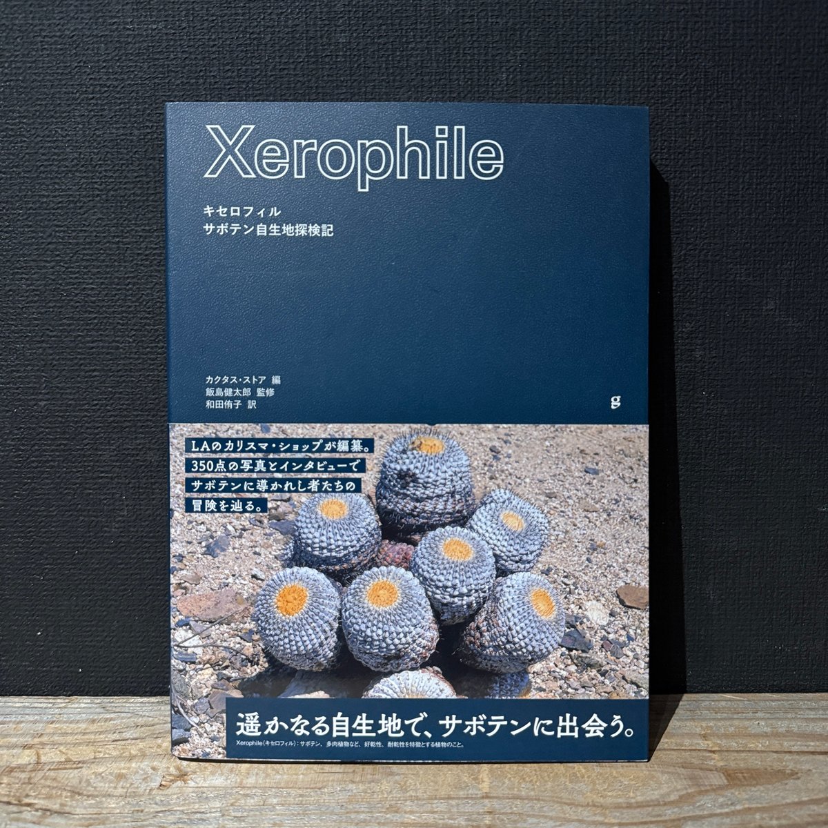 古本】キセロフィル サボテン自生探検記 | 古本と新刊 scene