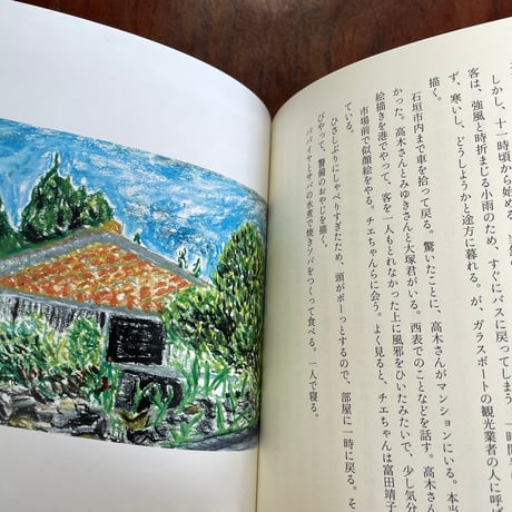 このようなやり方で300年の人生を生きていく　あたいの沖縄旅日記 （新版）