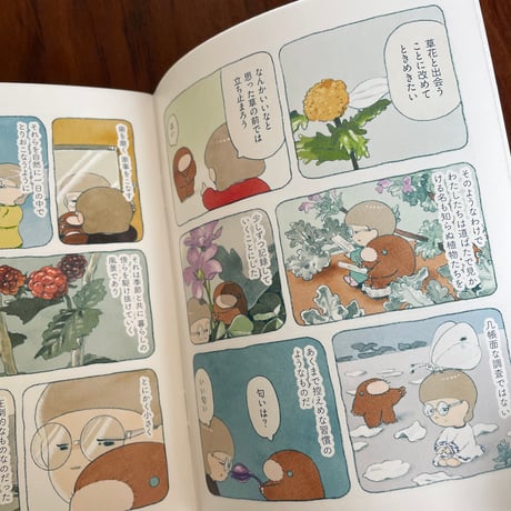 知らない草探しの会