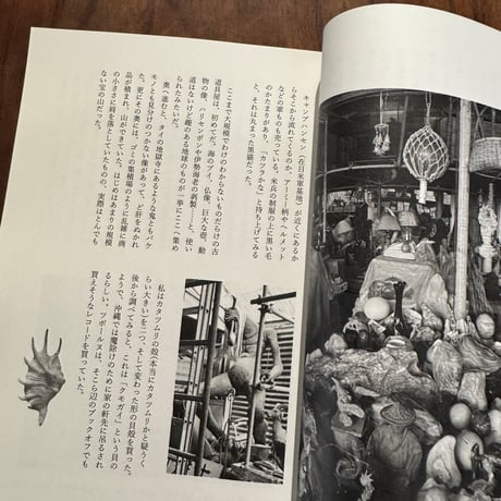 小指の沖縄冒険記