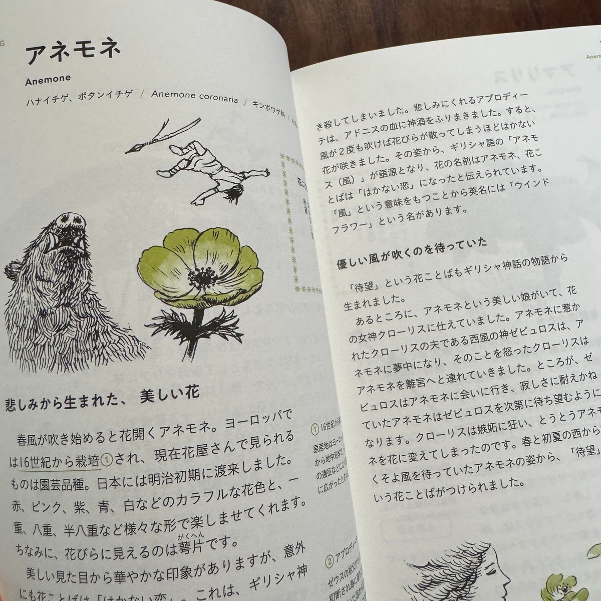 いけばな　花の伝統と文化　希少品　古書 古本】花のことば12か月 | 古本と新刊 scene