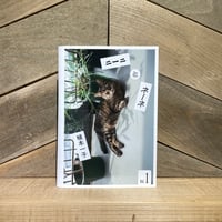 ニーニとネーネ vol.１
