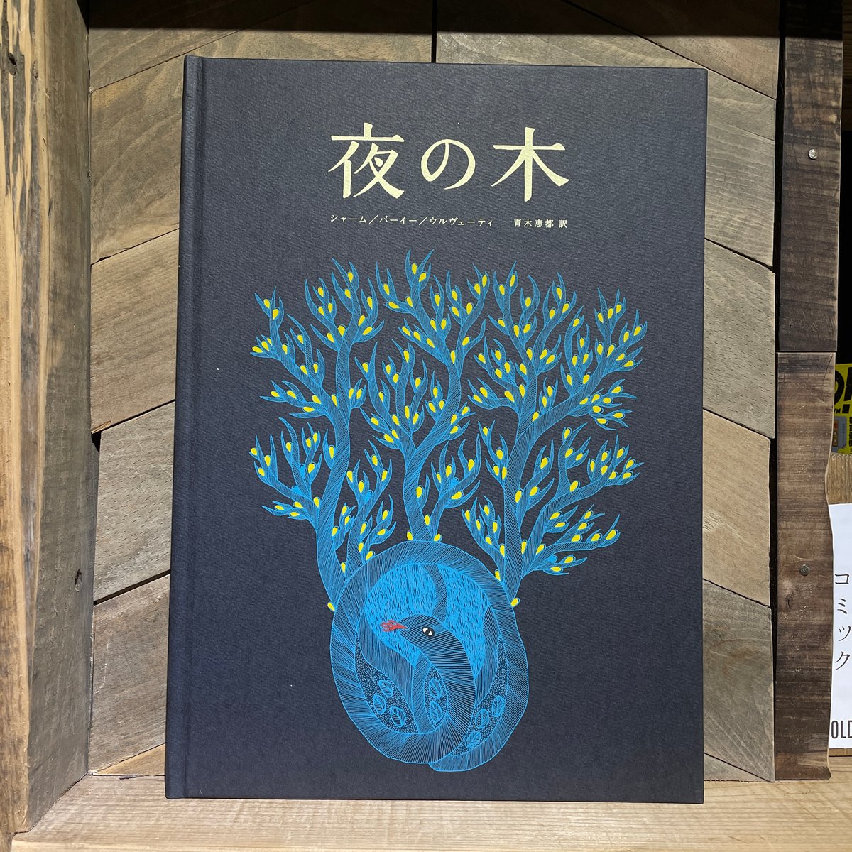 夜の木（第13刷） | 古本と新刊 scene