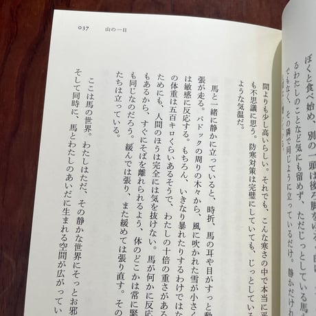 ここは安心安全な場所