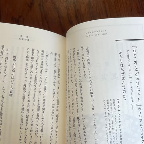 ギンガムチェックと塩漬けライム　翻訳家が読み解く海外文学の名作