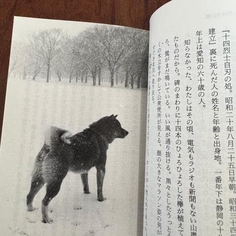 遊覧日記