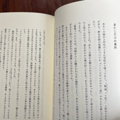 危険なトランスガールのおしゃべりメモワール