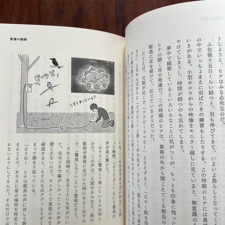 僕には鳥の言葉がわかる