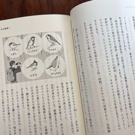 僕には鳥の言葉がわかる