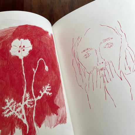 塩川いづみ作品集　ペン、鉛筆、ひと、動物、植物