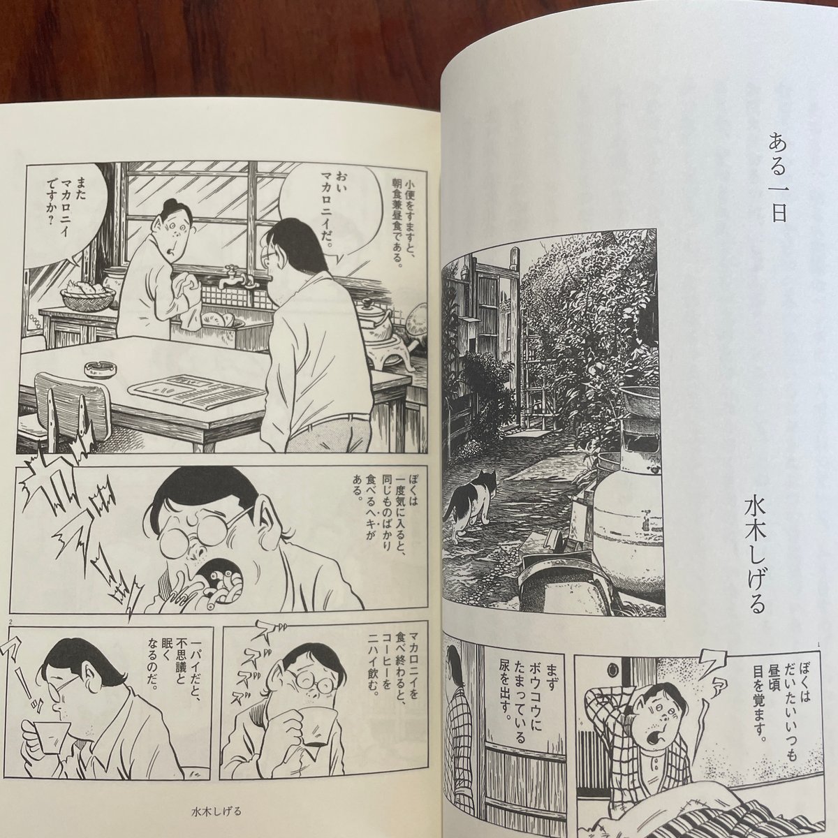 ハートスケープ・タロットカードⅡ】タイの幻のインディーズデッキ