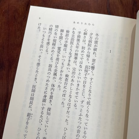 あめりかむら