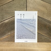 傷を愛せるか　増補新版