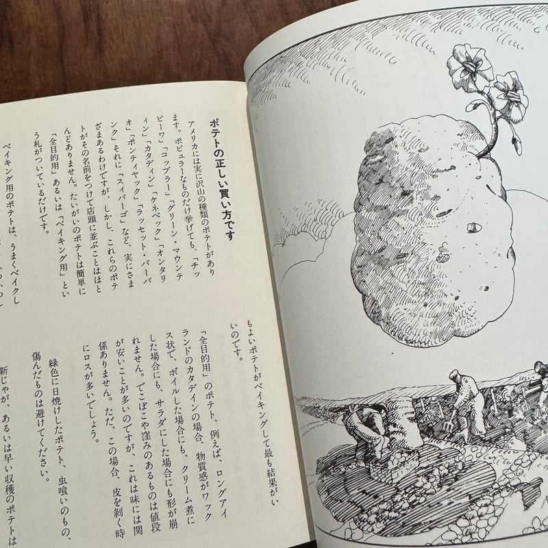 ポテト・ブック 新装版 | 古本と新刊 scene