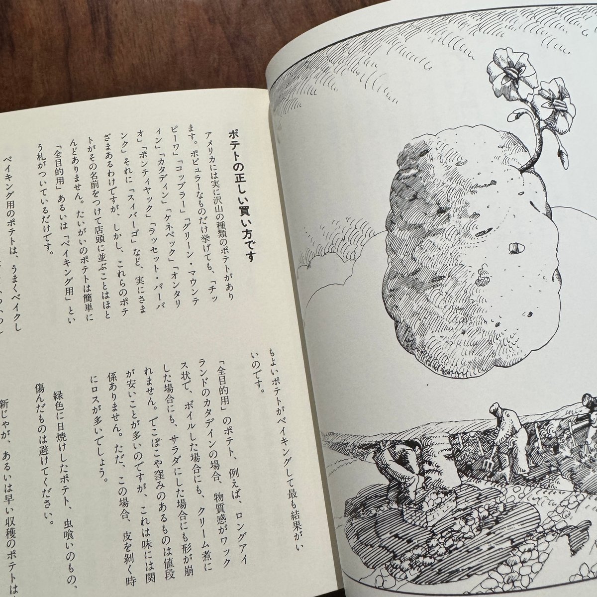 ポテト・ブック 新装版 | 古本と新刊 scene