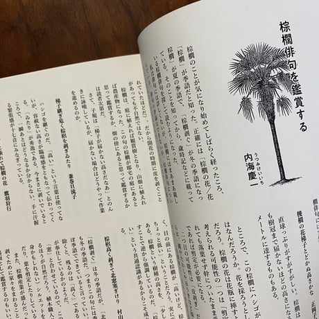 写真とまんがと文　シュロ2　※ぴょんぬりらさん直筆サイン入り