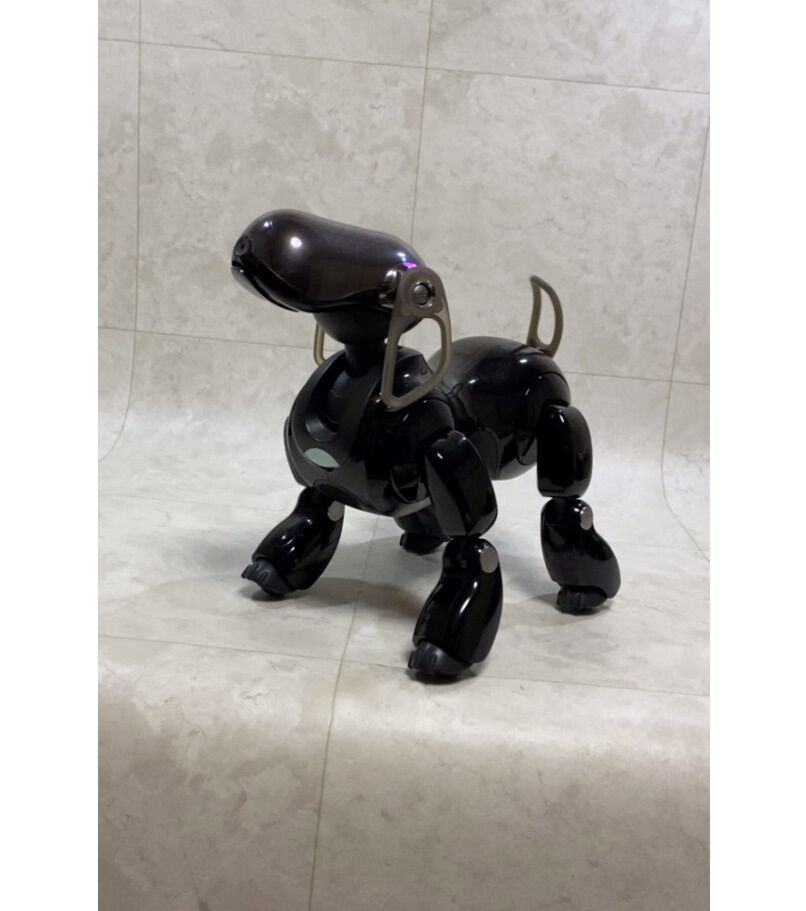 SONY アイボ AIBO ERS-7 パールブラック マインド2と3 SP3とカスタムデータ...