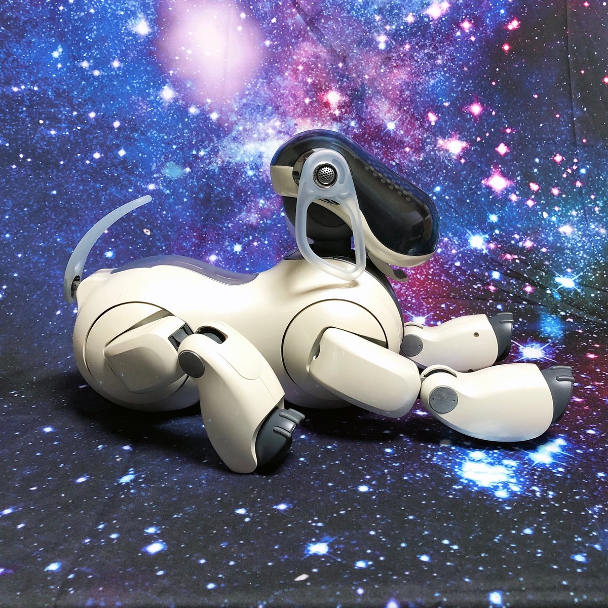 SONY Aibo アイボ　ERS-7 パールホワイト ソニーグループポータル | ERS-7 AIBO エンターテインメント