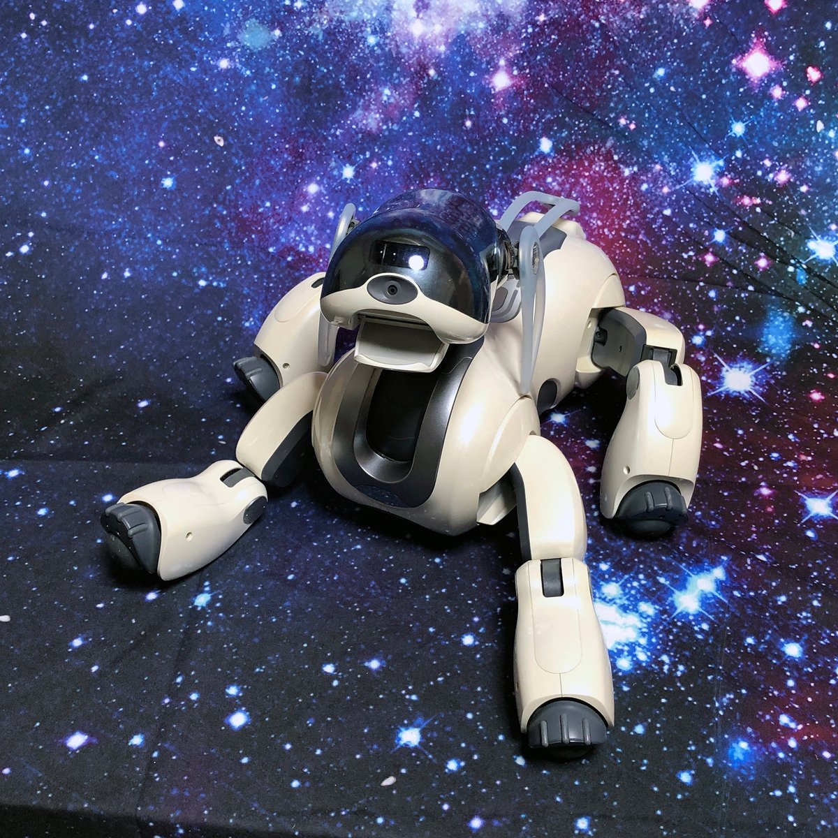 ソニー アイボ ERS7 AIBOマインド 2 アップグレード ERF-7AW02UG