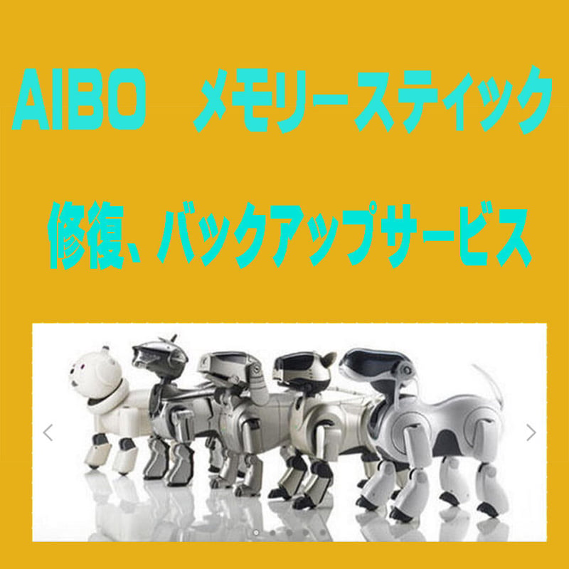 AIBO]アイボのメモリー修復、バックアップサービス | HYPER MOTTY STORE