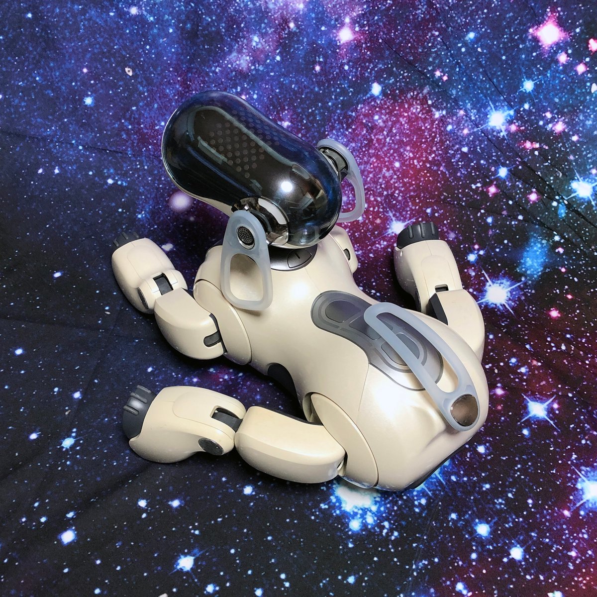 ソニー アイボ]SONY AIBO ERS-7 パールホワイト マインド2 デジタル