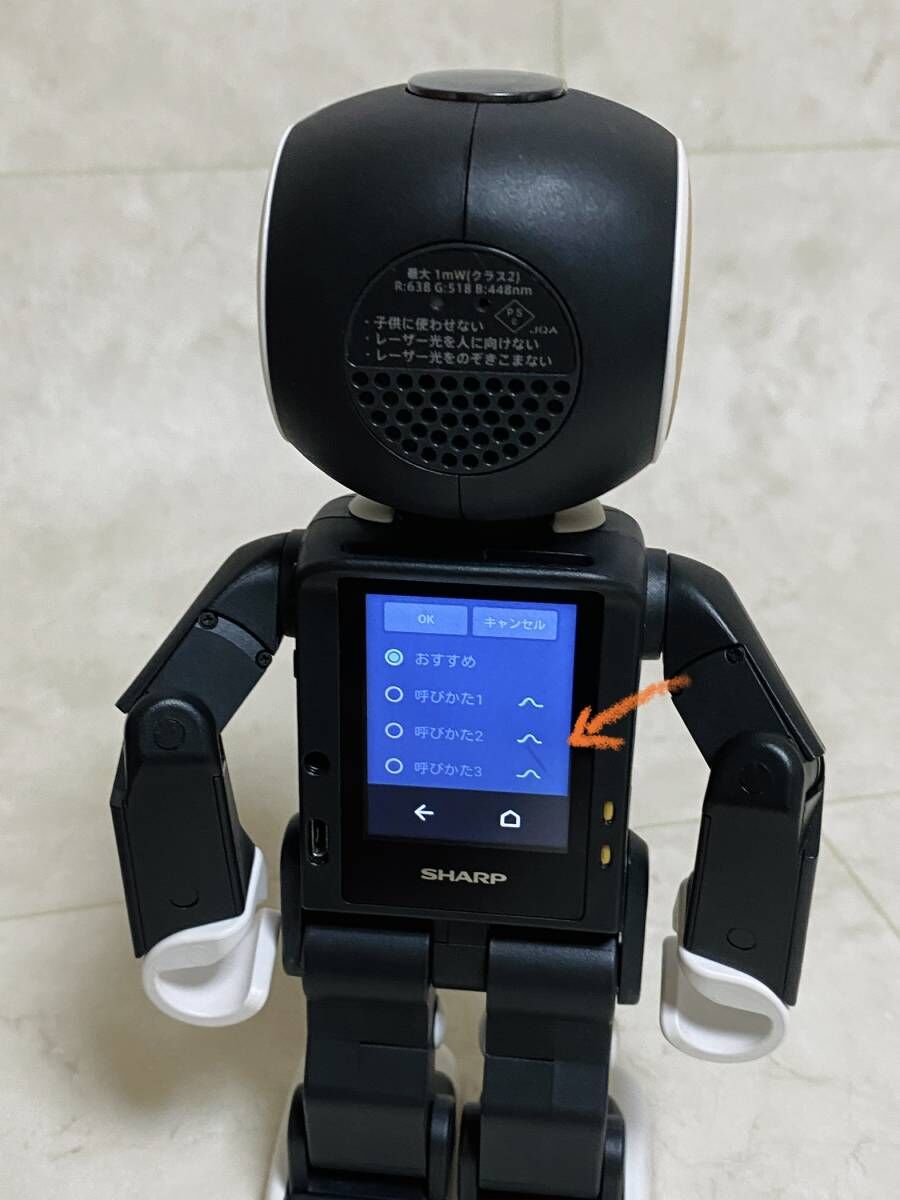SHARP RoBoHoN]シャープ モバイル型ロボット電話 ロボホン SR-01M-W＋純