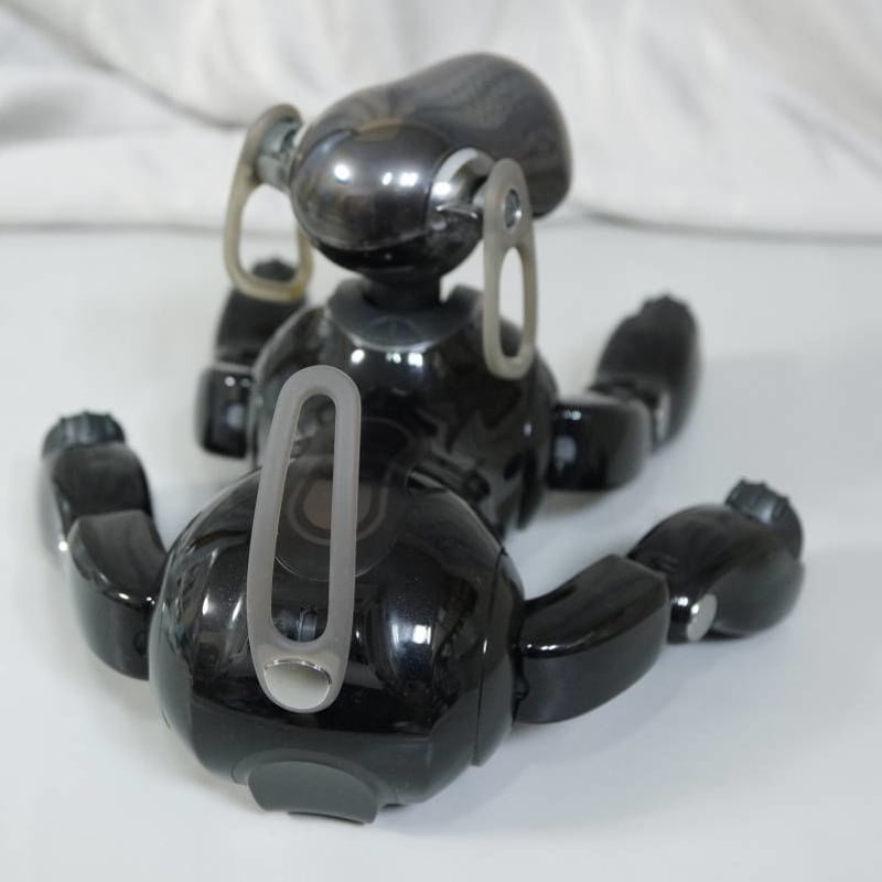 動作品　SONY AIBO ERS-1111 ブラック色 aibo新色「エスプレッソ・ブラック」 特別な4色の瞳 - Impress Watch