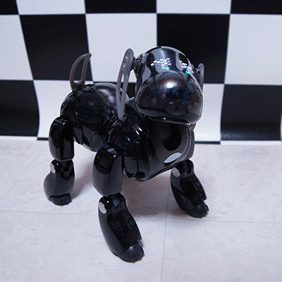 SONY - aibo ERS-7M2（ジャンク品） Sony AIBO Ers-7m2 Robot Dog Ers-7 Mind 2 Very Clean With