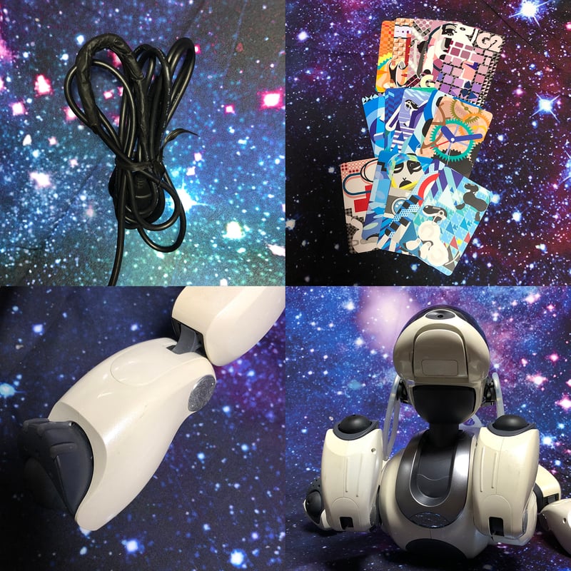 SONY - 期間限定　ソニーアイボAIBO　アイボリーホワイト　動作確認済 レンタル] ソニー エンタテインメントロボット aibo アイボリー