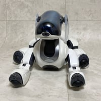 RoBoHoN]ロボホン用 純正キャリングケース SR-CA01 | HYPER MOTTY