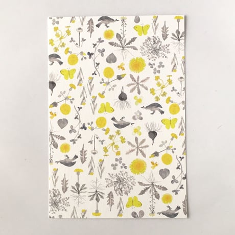 ポストカードセット・meadow flowers
