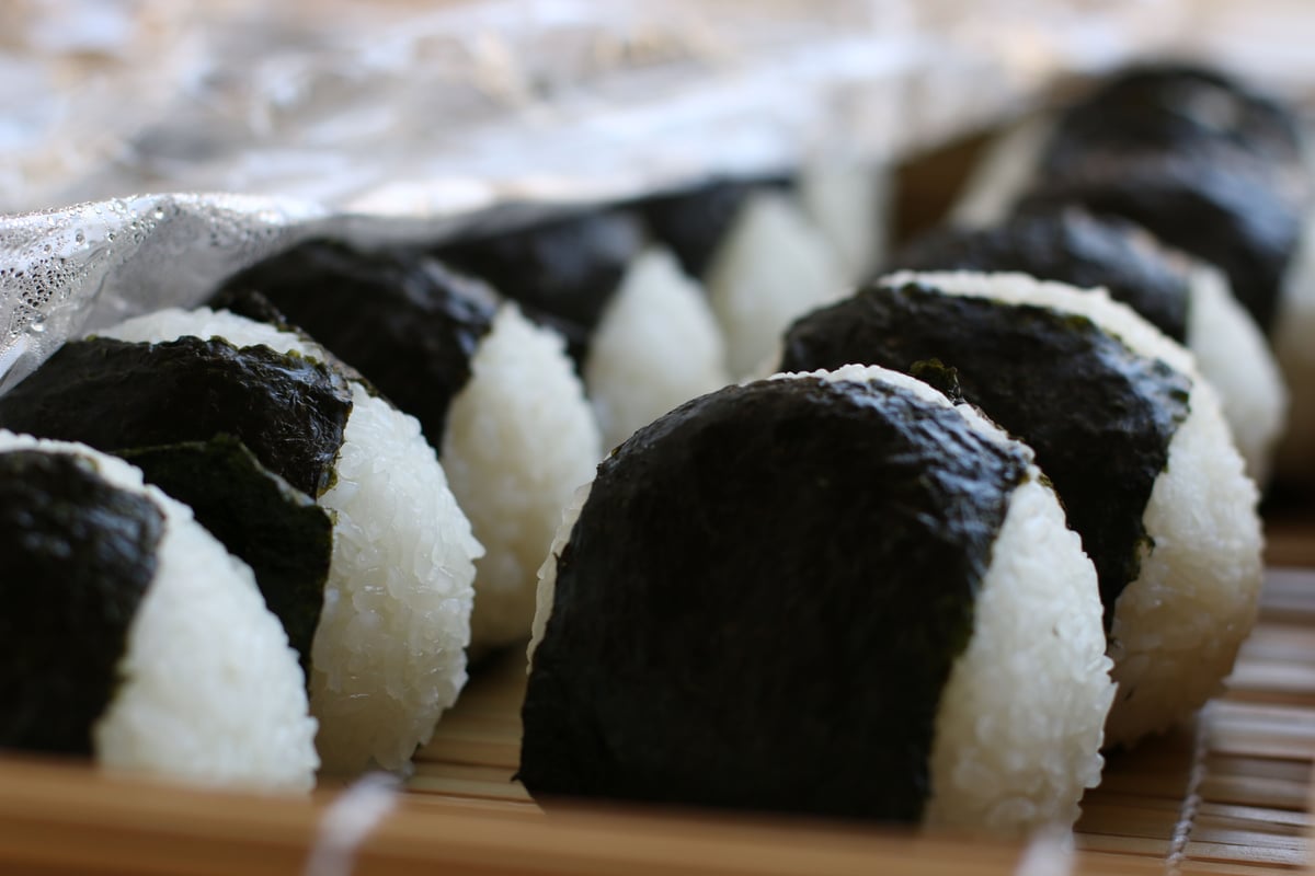 自社田自然栽培米 コシヒカリ（白米） 2025年度産 10kg | 仁井田本家