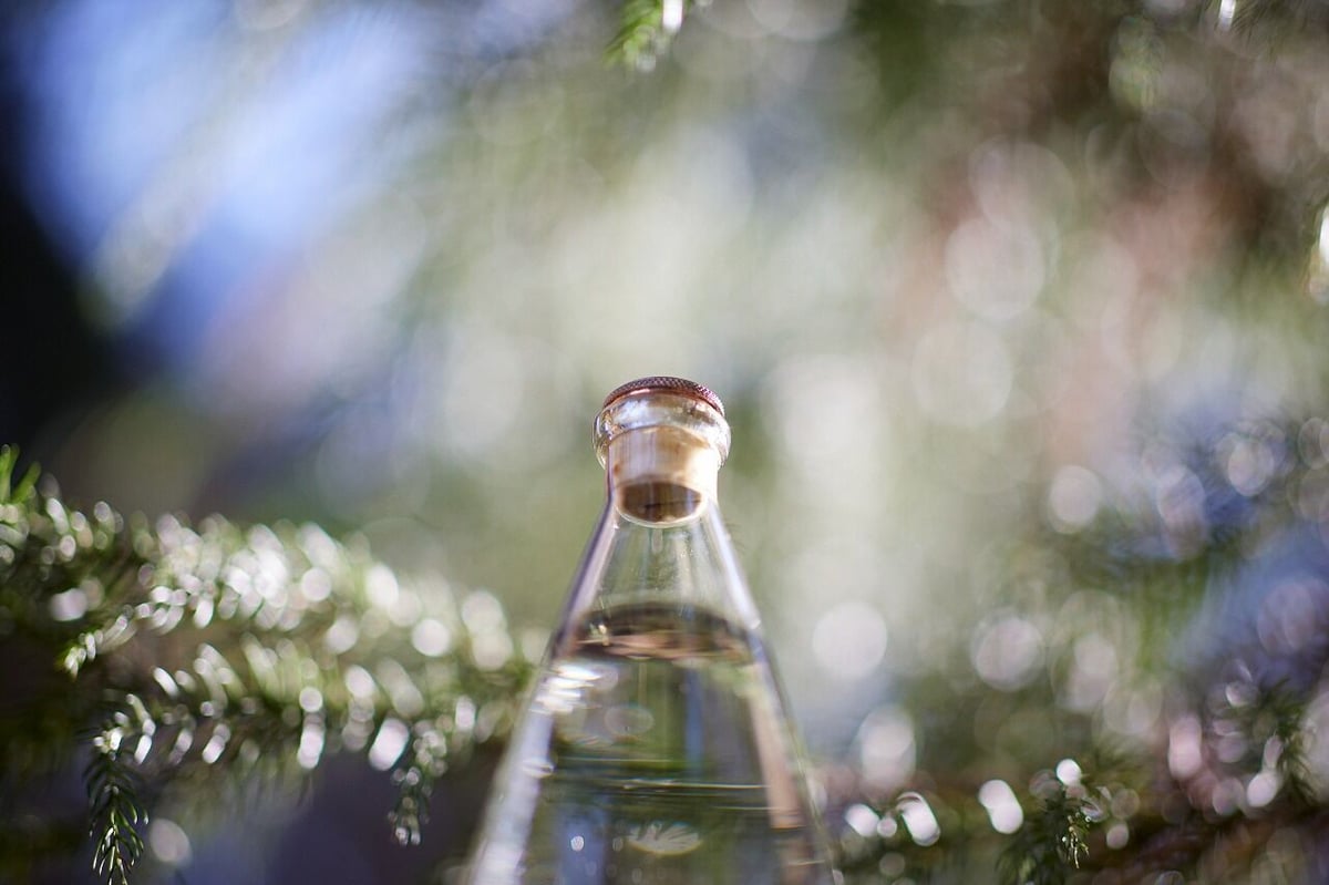 Peter Ivy bottle L 仁井田本家コラボモデル