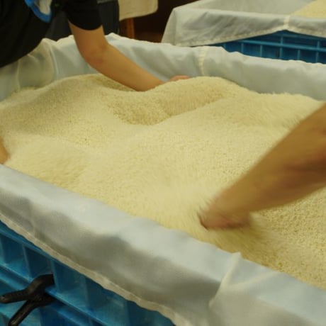 つなぐ 純米酒 白露仕込み