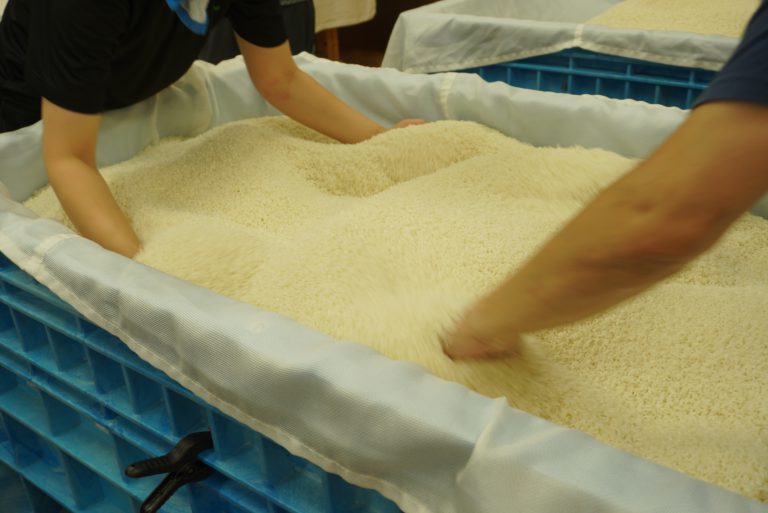 軽量国産ボード！GRAY JUN 151cm 新品バイン ネスティングハンドカー41SL | カワジュン リテールソリューション事業