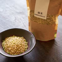 自社田自然栽培米　緑米（玄米）　2024年度産　300ｇ