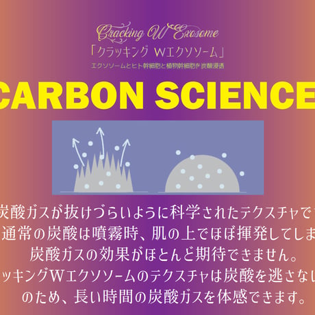 クラッキングWエクソソーム　〈2025/5/5リニューアル〉