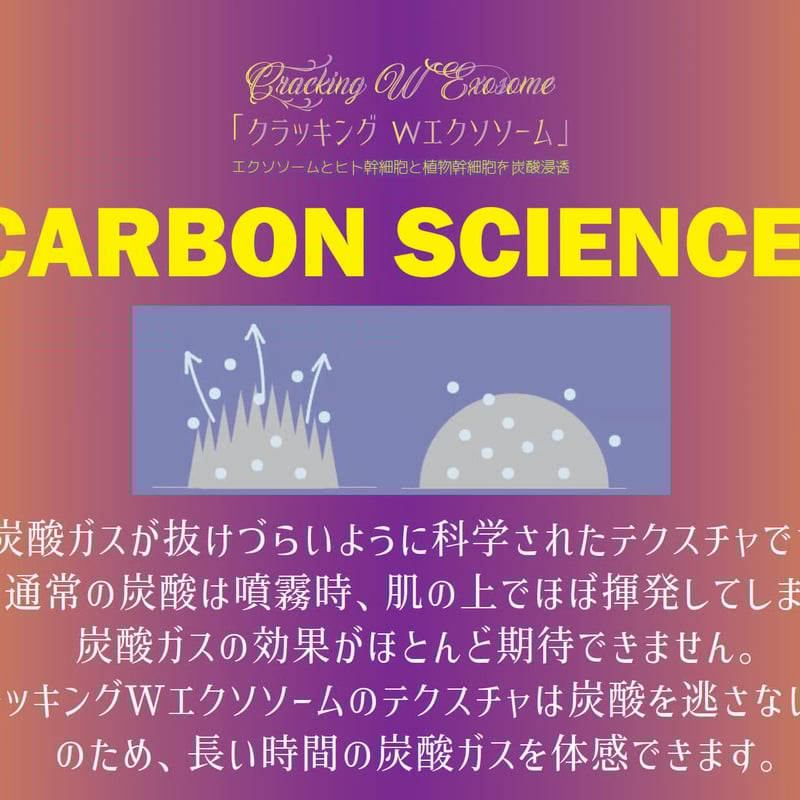 2ヶ月 定期便 5%オフ】クラッキングWエクソソーム 〈2025/5/5