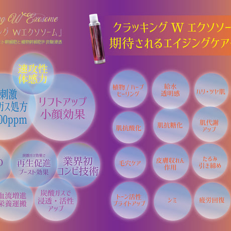 クラッキングWエクソソーム　〈2025/5/5リニューアル〉