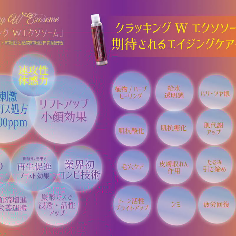 1ヶ月 定期便 15%オフ】クラッキングWエクソソーム 〈2025/5/5