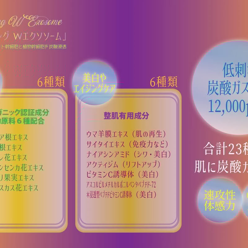 1ヶ月 定期便 15%オフ】クラッキングWエクソソーム 〈2025/5/5